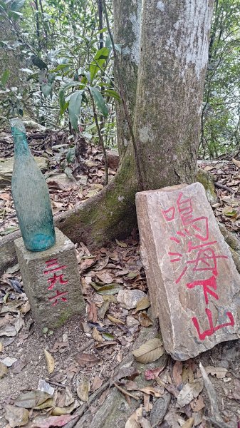 網子山、鳴海山3046448