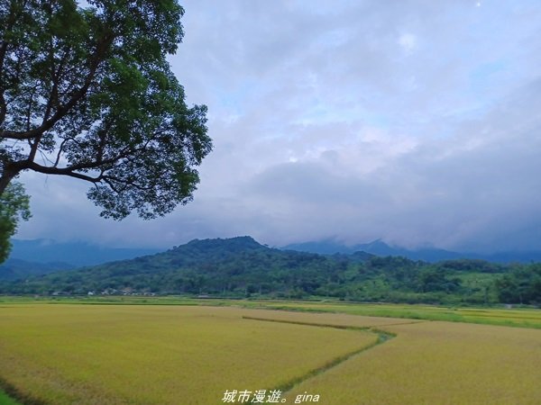 【花蓮富里】騎車比爬山還累。 小百岳集起來。 編號92小百岳-萬人山步道1747065