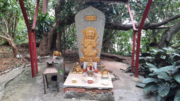 《新竹》城市微旅｜十八尖山+香山濕地賞蟹步道202511012928396