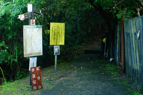 新北 平溪 頂子寮山、五分山3043954