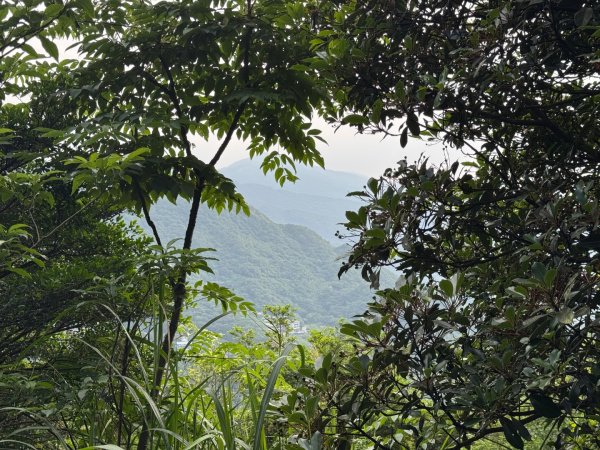2025/04/19 小百岳第006基隆山2766349