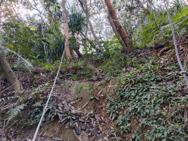 基隆市/萬里區界寮縱走之三界山+三界山西峰+開眼尖山+七分寮山+瑪七產道山泉水接水亭2979566