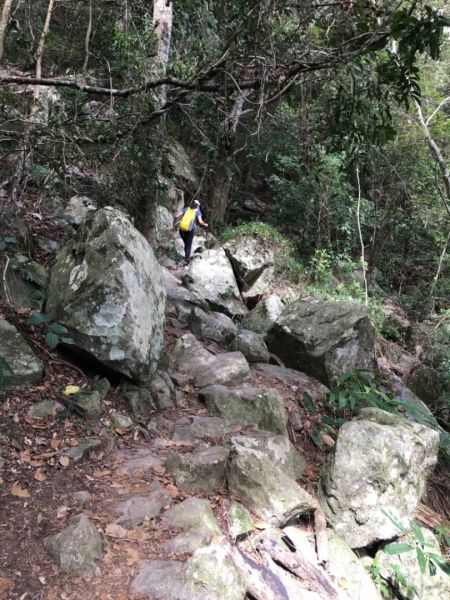 1070219谷關七雄老五～東卯山309228