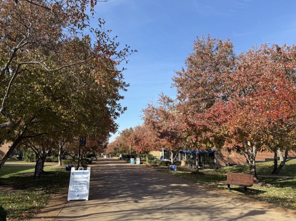 [紐約馬之行-52] 2025_1112 聖路易斯大學2953294