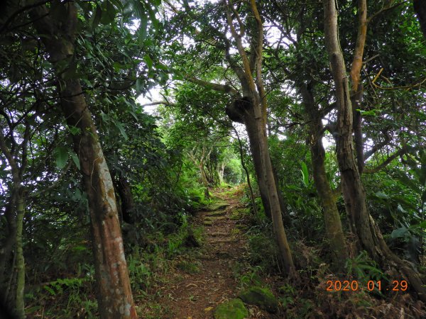 臺北市 文山 中埔山東峰817223