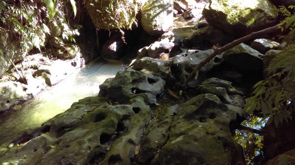 【臺北大縱走7】貓空壺穴、優美的茶香步道804918