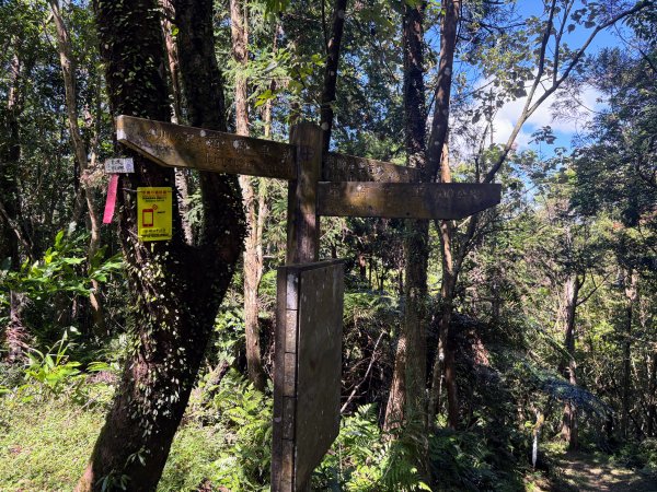 五分山系-望古瀑布段2896298