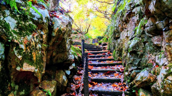 山形縣銀山溫泉2929656