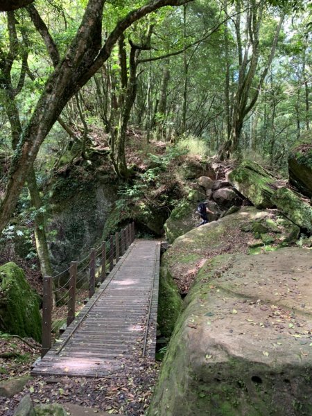 邊緣系山女：連假加里山947750