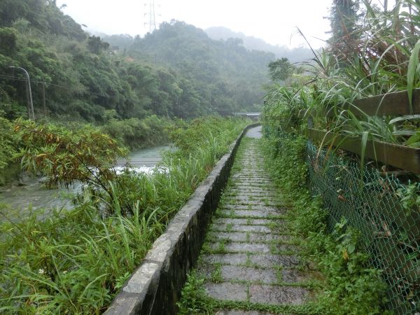 外按古道．烏塗溪步道136854