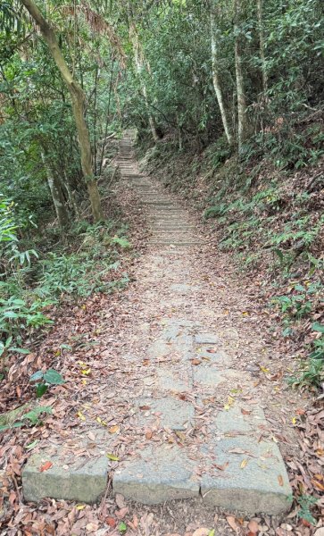 鳴鳳山古道群走鳴鳳山 三湖山吃仙草冰2923303