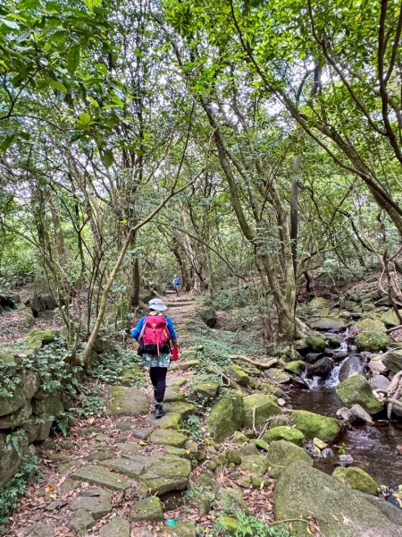 上磺溪橋走魚路古道/金包里城門/擎天崗/冷水坑2872121