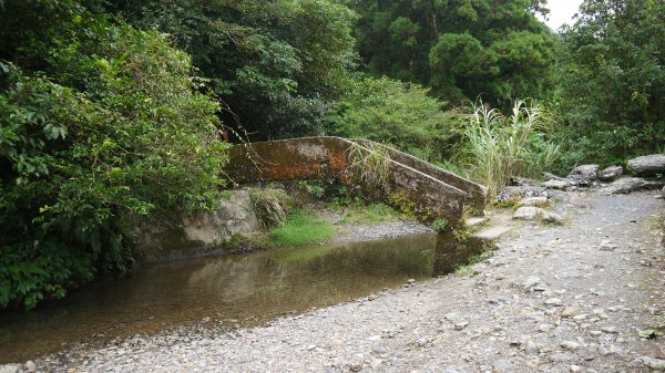 坪溪古道登山健行趣(淡蘭中路TK2-18)1514170