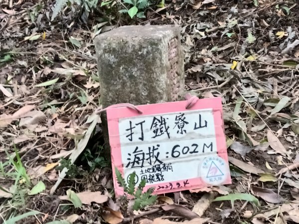 雙溪區打鐵寮山-鶯子嶺-坪溪山-烏山63號-烏山越嶺古道(坪溪山北峰)P字走3023726