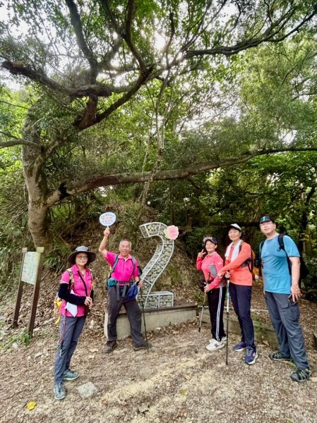 虎山岩區4條大嶺巷步道十二分埔山O繞逍遙輕鬆行3064044