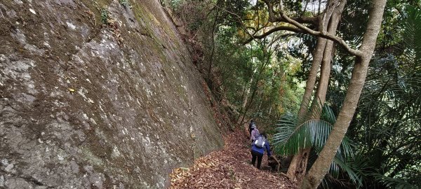 2025/12/25_冬瓜山神木步道2971972