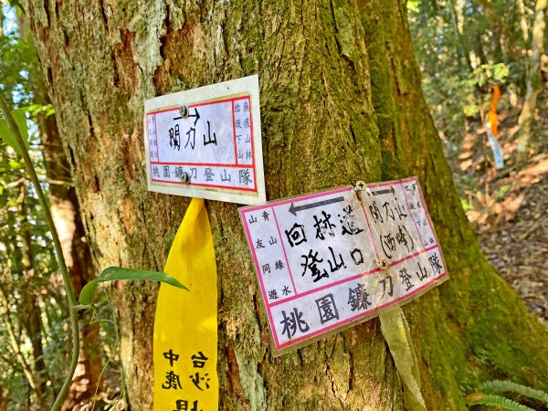 再訪關刀山西峰、主峰順撿西關刀山北峰  1165181