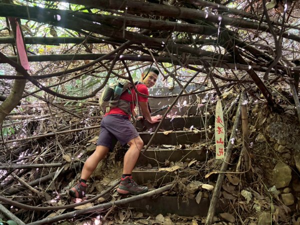 埋伏坪步道.大安溪峽谷.鯉魚潭水庫【該不會就這樣被廢棄了吧??】2956071