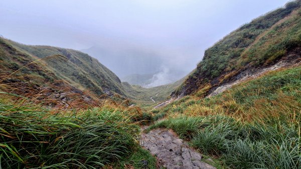 20251019 苗圃-七星山-小油坑2921131