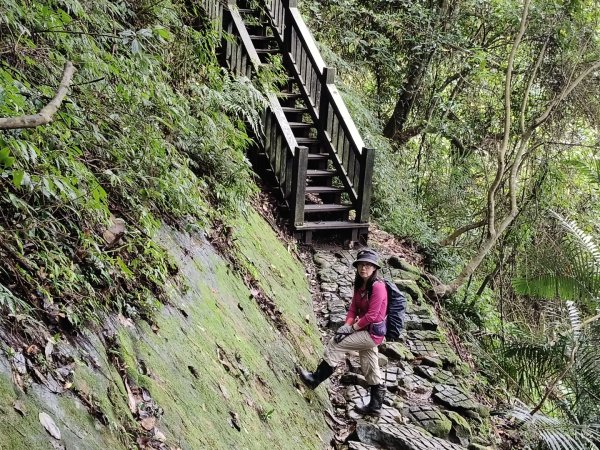 五指山走春3009583