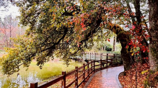 🌈12/20(六)福壽山農場~追風趣✨FB：熊熊趴爬走🌈2967282