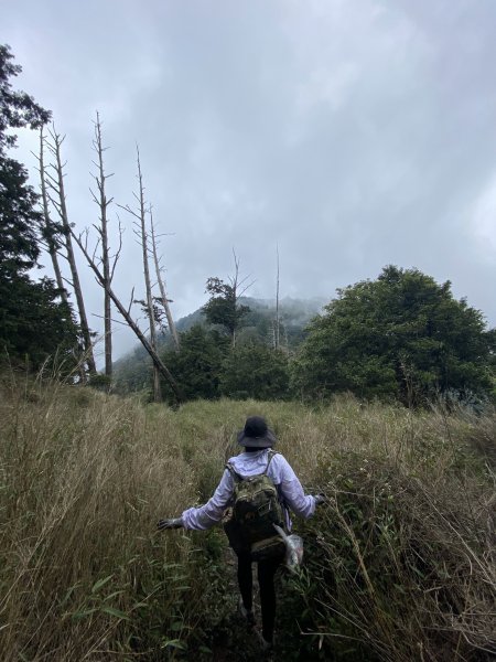 埔里練練腳Day2 七小時～守關山、守城大山1518590