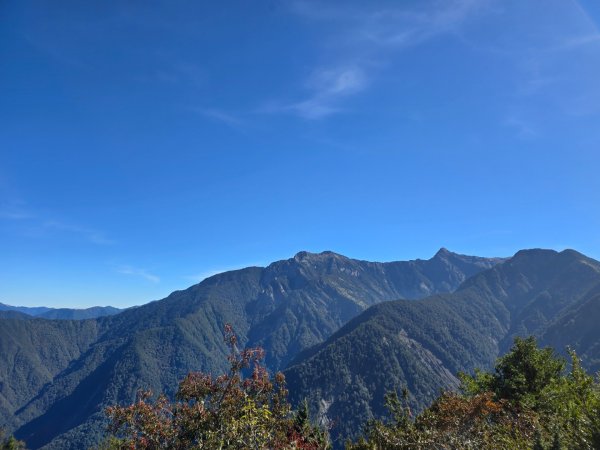 東埔山／鹿林山／鹿林神木2666715