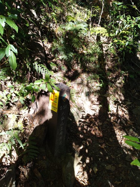 佳保台山-八仙山2910257