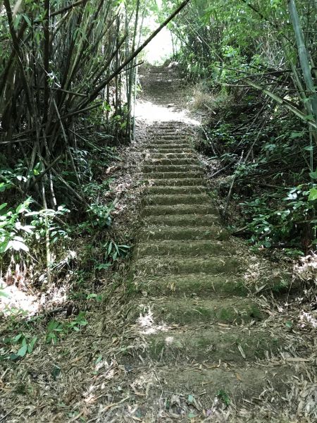 林安森林公園(大寮山)遊東源389372