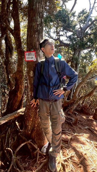 🌈11/9(日)高島縱走~高台山連走島田山山徑✨FB：熊熊趴爬走🌈2932513