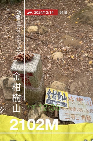 忘憂森林.金柑樹山2668882