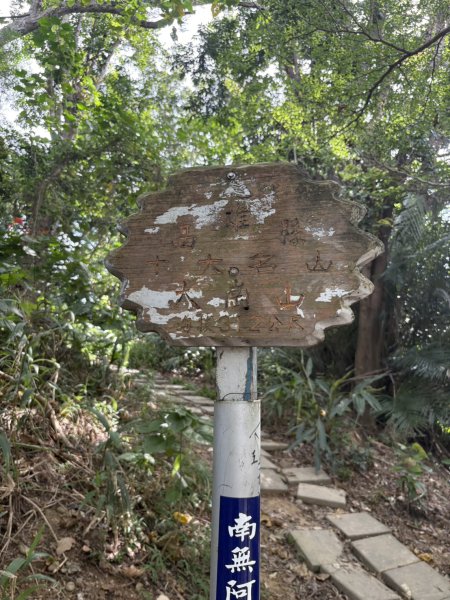 20250907高雄大崗山步道2914732