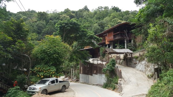 清邁：Huai Kaeo、大樹咖啡2486916