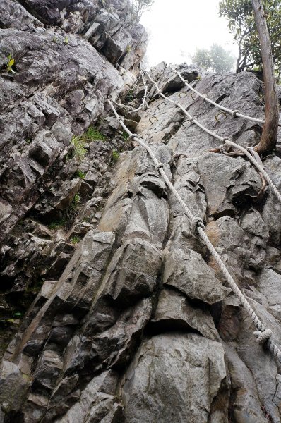 台中和平鳶嘴山600711