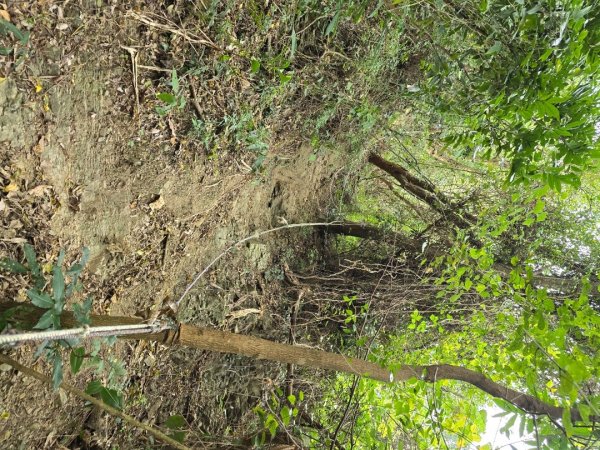 林牛山+聚興山2709918