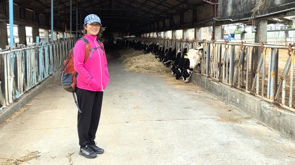 北部出發來去中部悠哉走個鐵砧山2993389