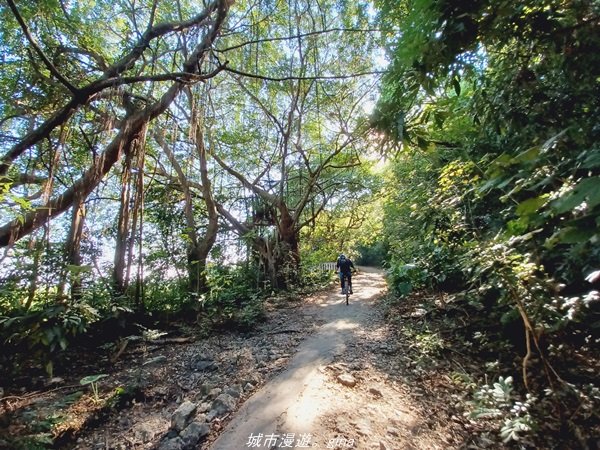 【高雄。鼓山】高雄最大的一塊自然林地。 小百岳集起來。 編號77小百岳-壽山1533556