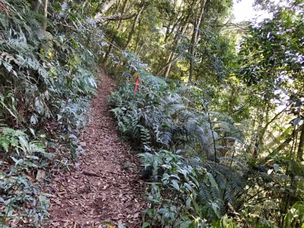 埔里關頭山走舊武界越山502387