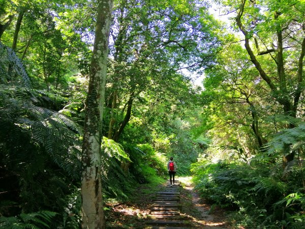 【新北。深坑】藍天綠意好時光。 編號14小百岳土庫岳