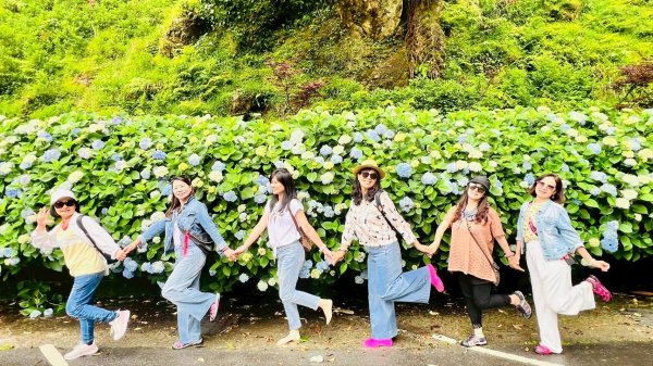 🌈5/25（日）台灣觀巴~愛上杉林溪–忘憂森林．妖怪村一日遊❤️FB：熊熊趴爬走🌈2798131