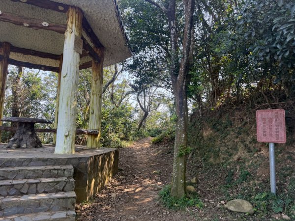 20260221 飛沙新路3003411