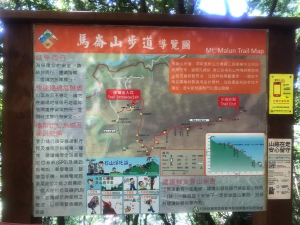 谷關七雄  老二  馬崙山  郊遊1469070