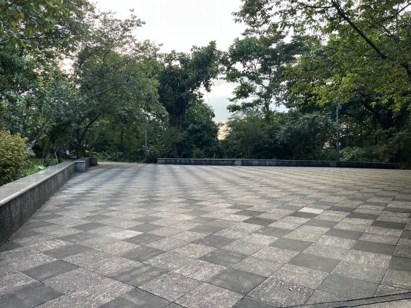 [微笑山線_第六段] 2025_0807 二格山系_和美山螢火蟲段2854623