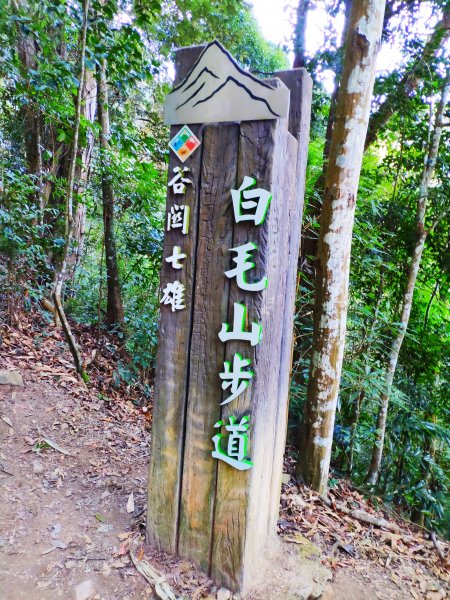 谷關七雄老六_白毛山1232050