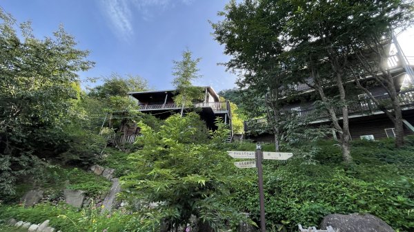 走入清晨19度c的上帝部落>>司馬庫斯(巨木群步道)1769808
