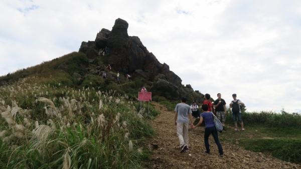 CP值超高的茶壺山步道74207