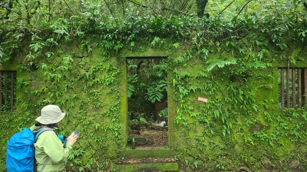 2025-01232淡蘭古道北二段(燦光寮古道到澳底)2696594