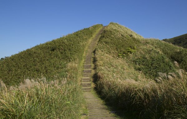 20181201 草嶺古道大里-大溪線、鹿窟尾山