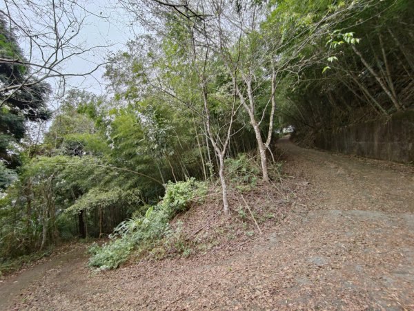 2023.12.24 大湖尖山2838723