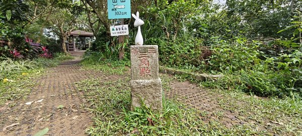 2025/05/31_烘爐地登山步道(南勢角山)2801426